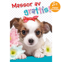 Dubbla kort med ljudeffekt, Härlig födelsedag