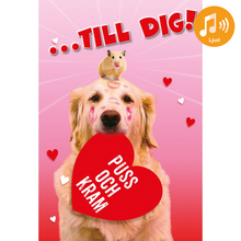 Dubbla kort med ljudeffekt, Stor kram