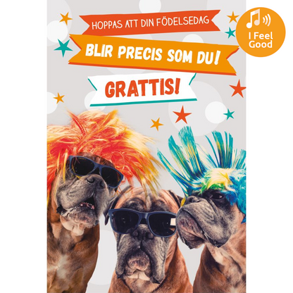 Dubbla kort med ljudeffekt, Du är COOL