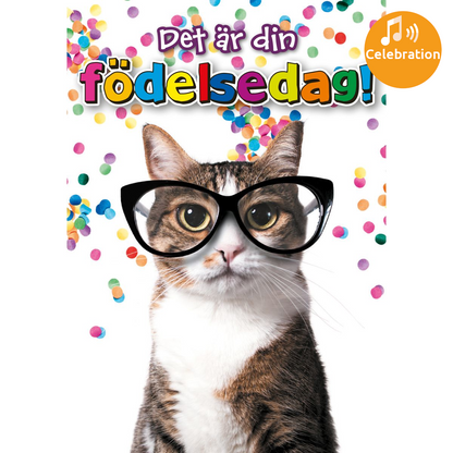 Dubbla kort med ljudeffekt, din födelsedag