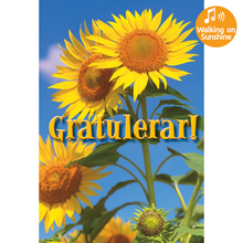 Dubbla kort med ljudeffekt, Solstråle