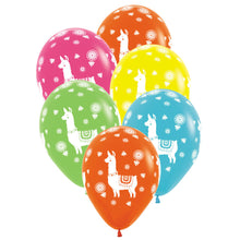 Ballonger, lama 6 st