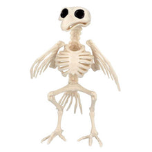 Prop, skelett fågel 20 cm