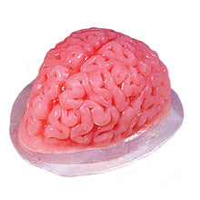 Gelatinform, hjärna