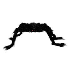 Jättespindel, 75 cm