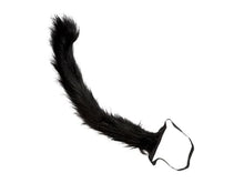 Kattsvans, svart 50 cm