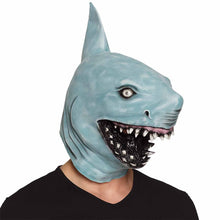 Latexmask, haj