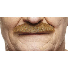 Mustasch, butler kastanj