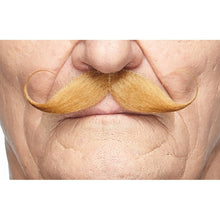 Mustasch, detective brun