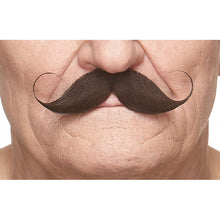 Mustasch, detective kastanj