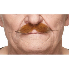Mustasch, gentleman röd
