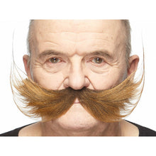 Mustasch, inventor brun