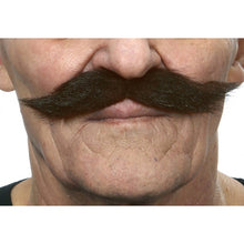 Mustasch, klondike brun