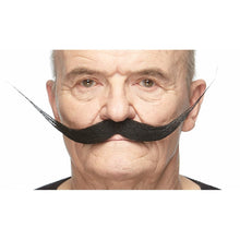 Mustasch, maestro svart