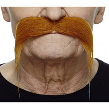 Mustasch, ginger