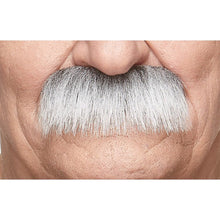 Mustasch, professor grå/vit