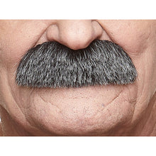 Mustasch, professor svart/vit