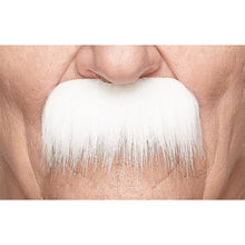 Mustasch, professor vit
