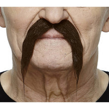Mustasch, ranger kastanj