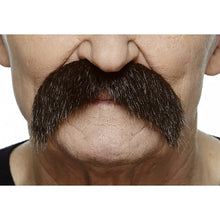 Mustasch, rebel brun