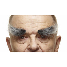 Ögonbryn, buskiga gråa