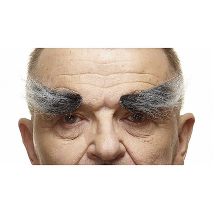 Ögonbryn, buskiga gråa