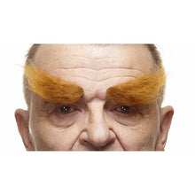 Ögonbryn, buskiga röda