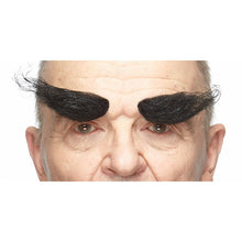 Ögonbryn, buskiga svarta