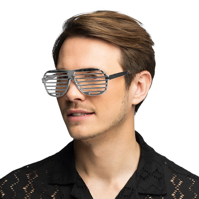 Glasögon, Omnia silver