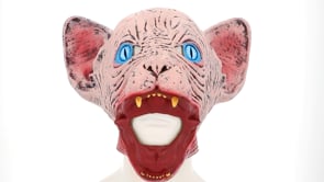 Latexmask, horror cat