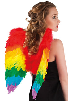 Vingar, regnbåge 50x50 cm