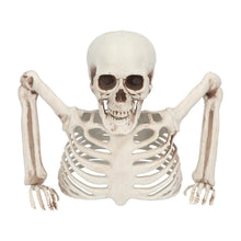 Prop, skeleton groundbreaker 20 cm