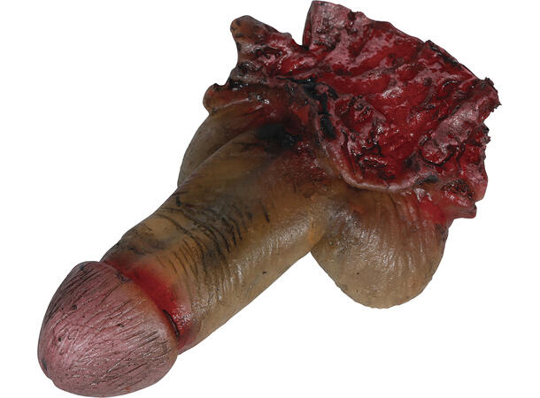 Prop, köttdisk amputerad penis 12 cm