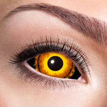 Scleralinser, eldklot 6 mån