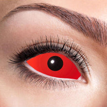 Scleralinser, röda 6 mån