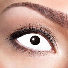 Scleralinser, vita 6 mån