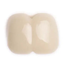 Stifftänder, framtänder