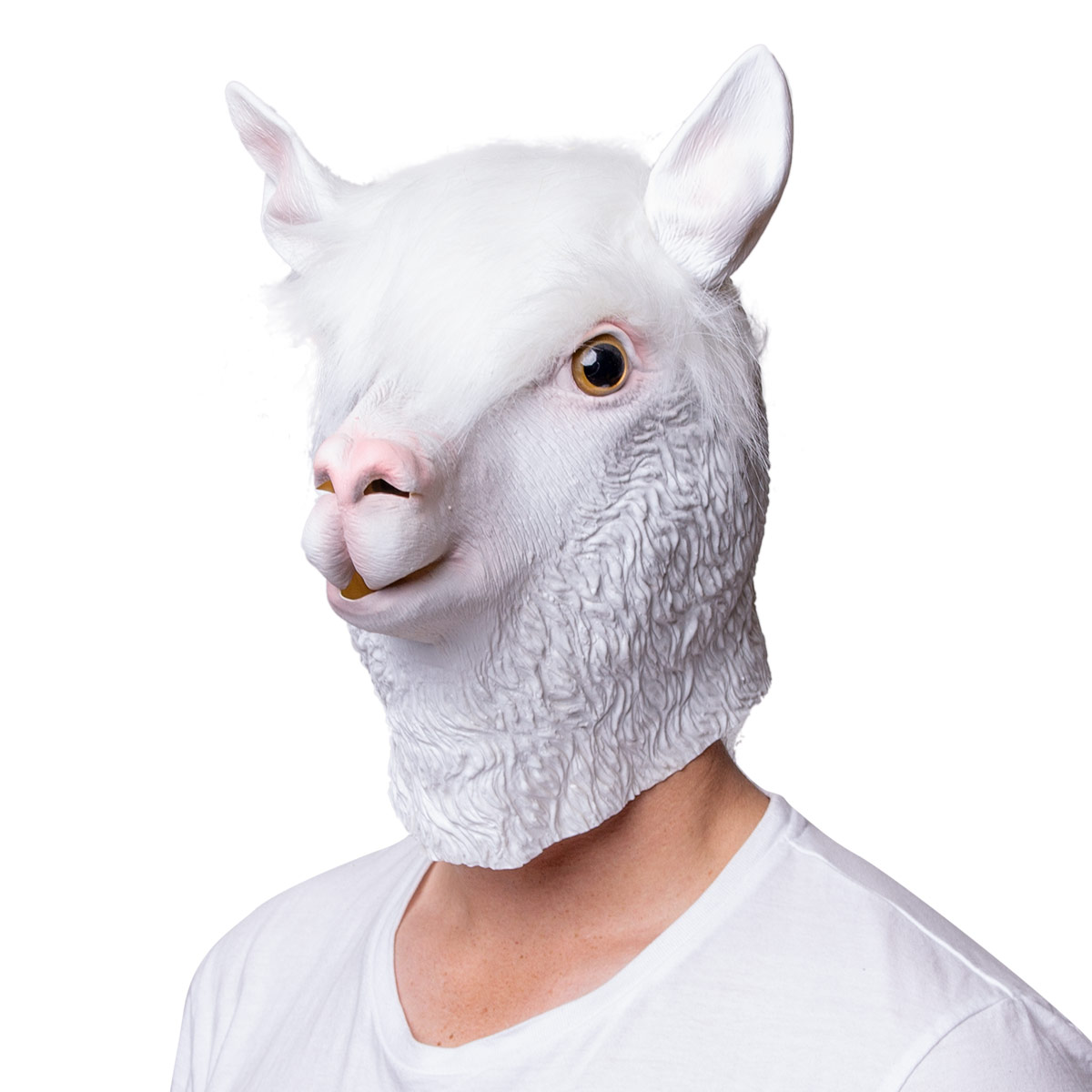 Läs mer om Mask, lama