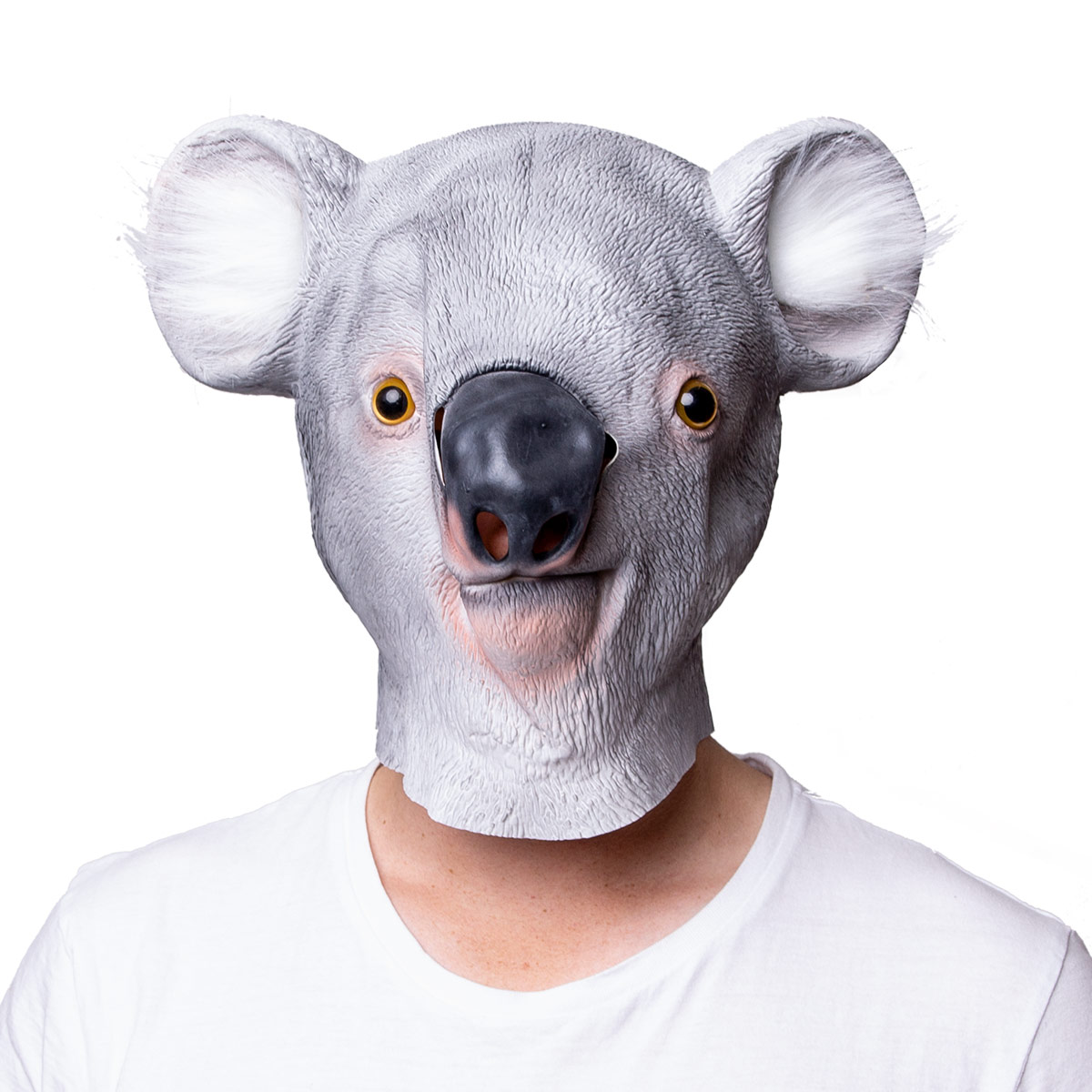 Läs mer om Mask, koala