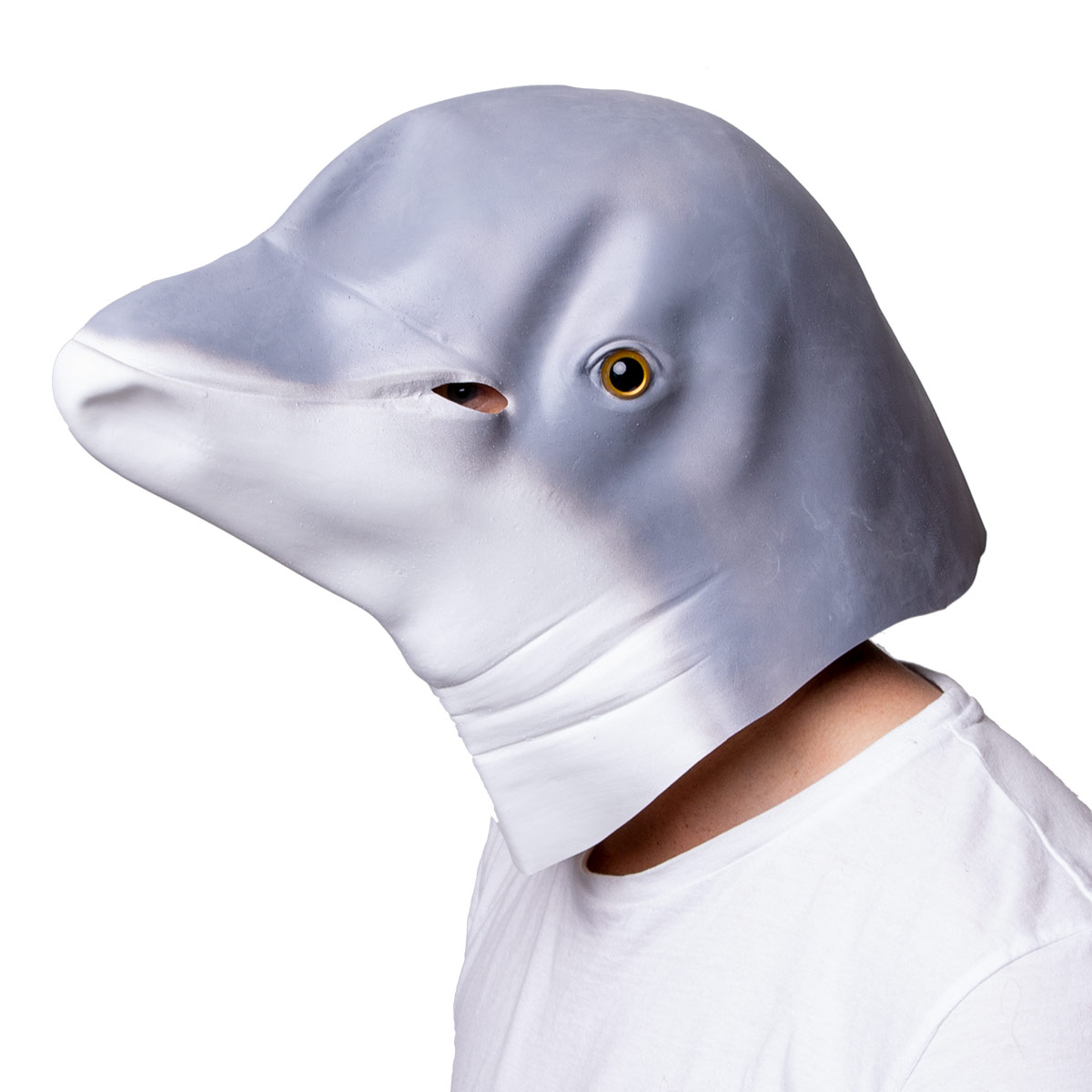 Läs mer om Mask, delfin