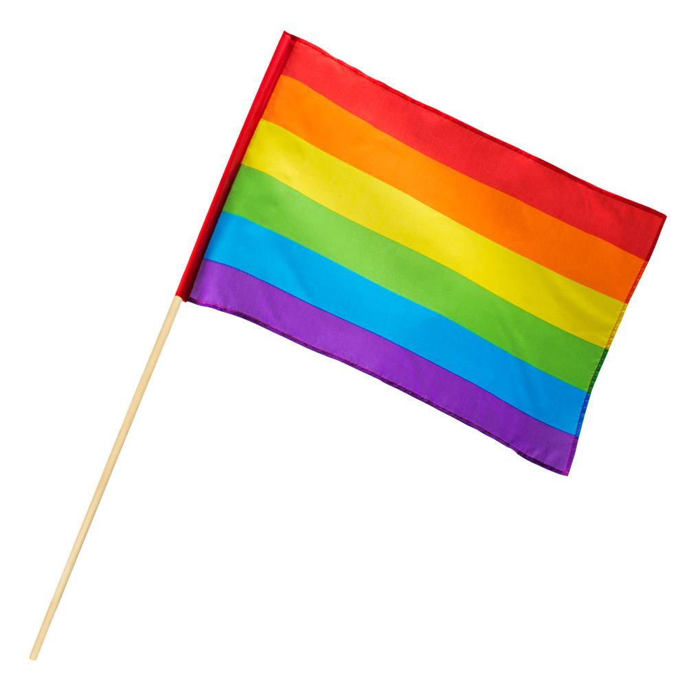 Prideflagga tyg 20cm x 30 cm