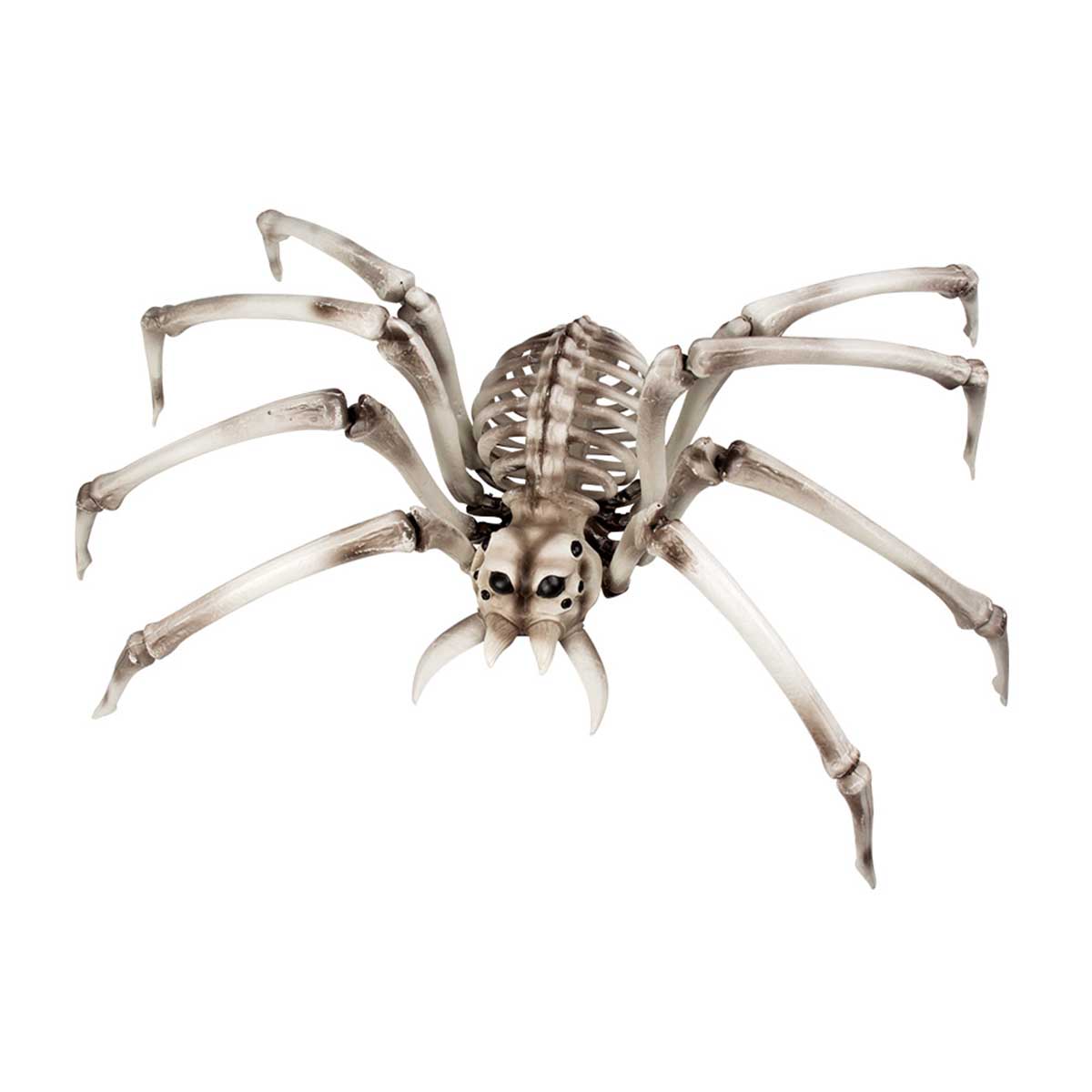 Läs mer om Props, skelett spindel 82x48 cm