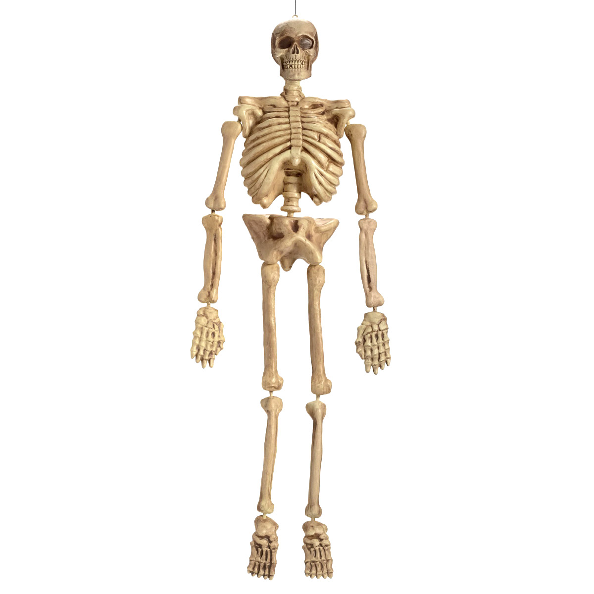 Prop Hängande skelett 150 cm