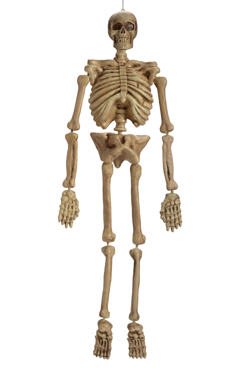 Prop, Hängande skelettproduktzoombild #1