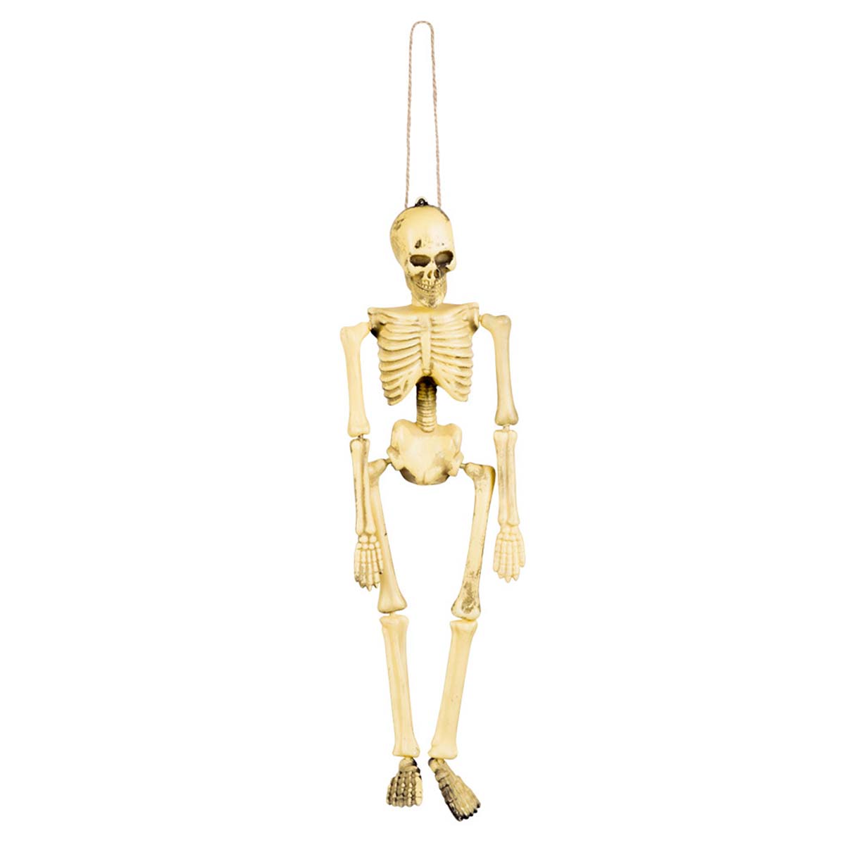 Prop, skelett 40 cm