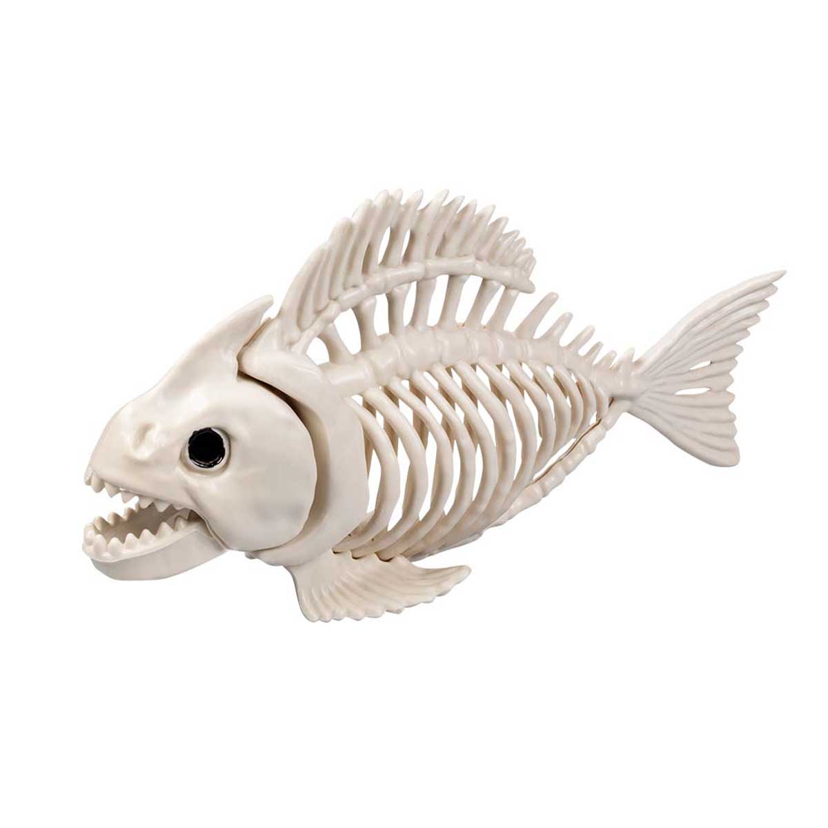 Djurskelett fisk 24 cm