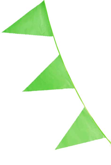 Flaggirlang 10 m grön