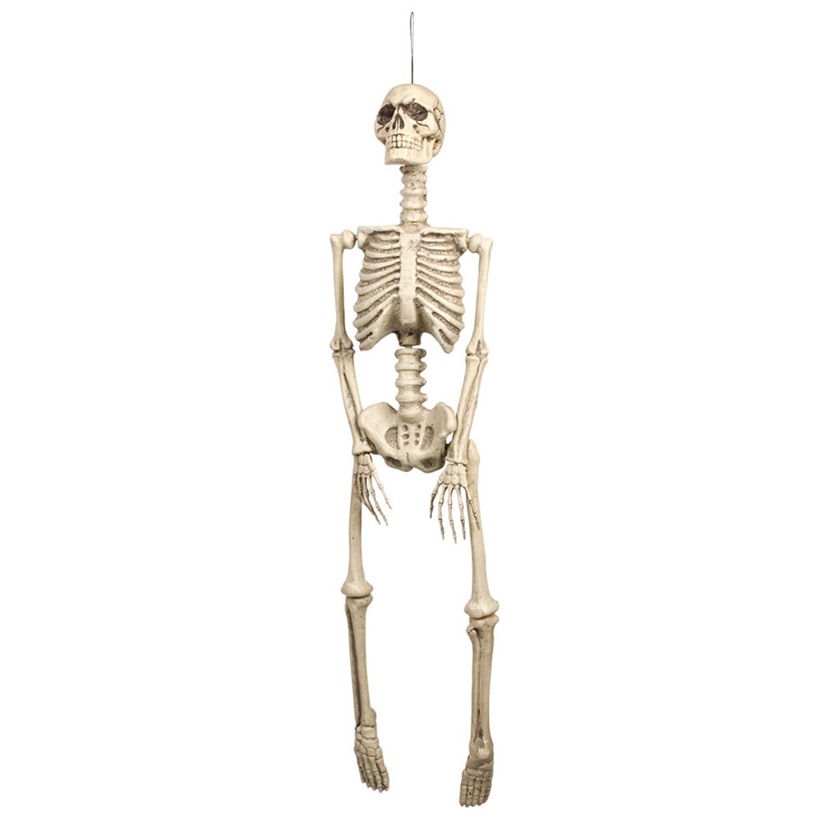 Prop, skelett 92 cm
