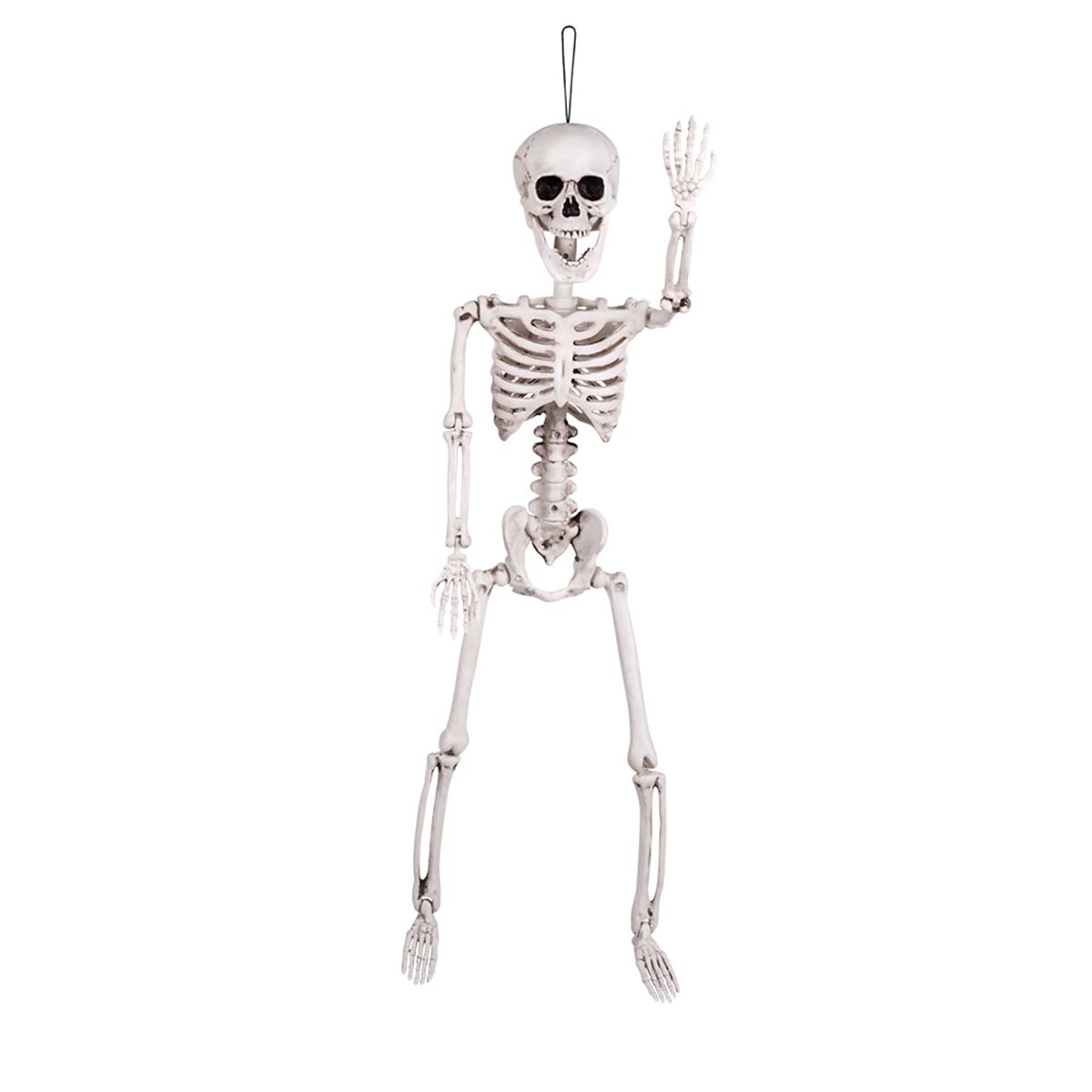 Prop, skelett 60 cm