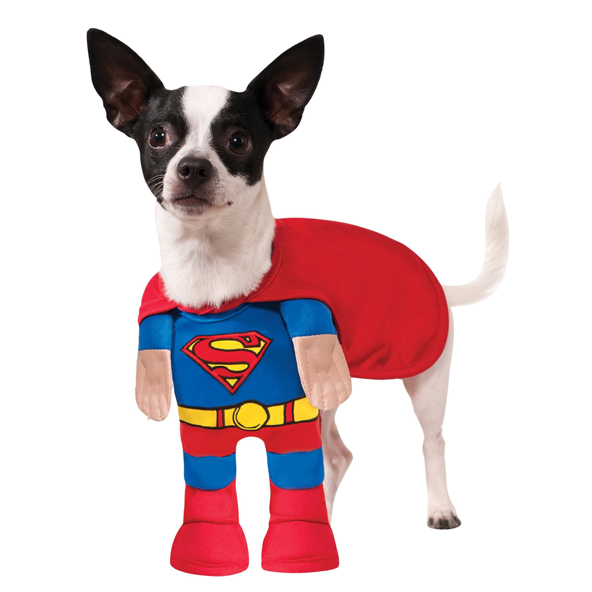 Läs mer om Hunddräkt, Superman-S